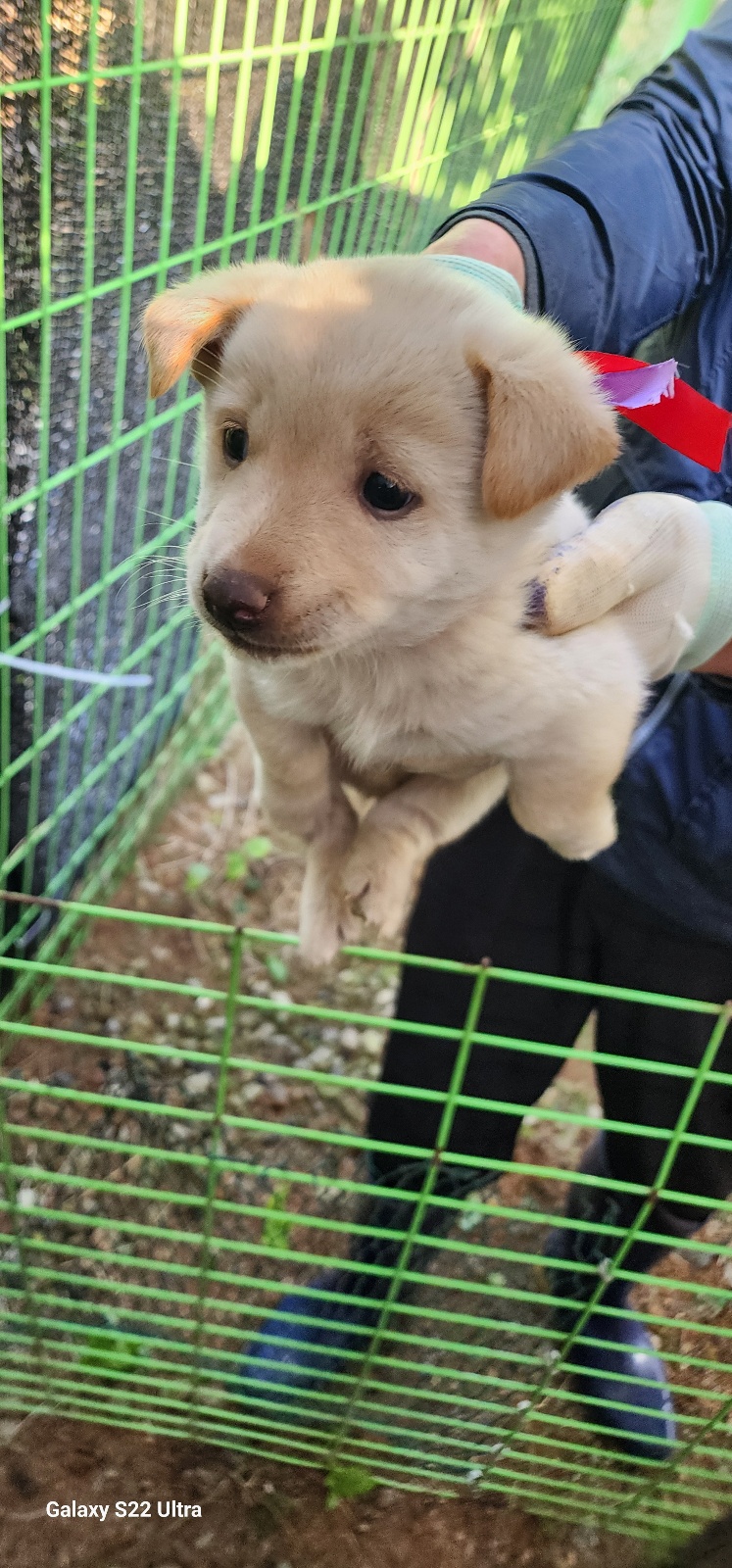 전북말산업복합센터_445471202500481